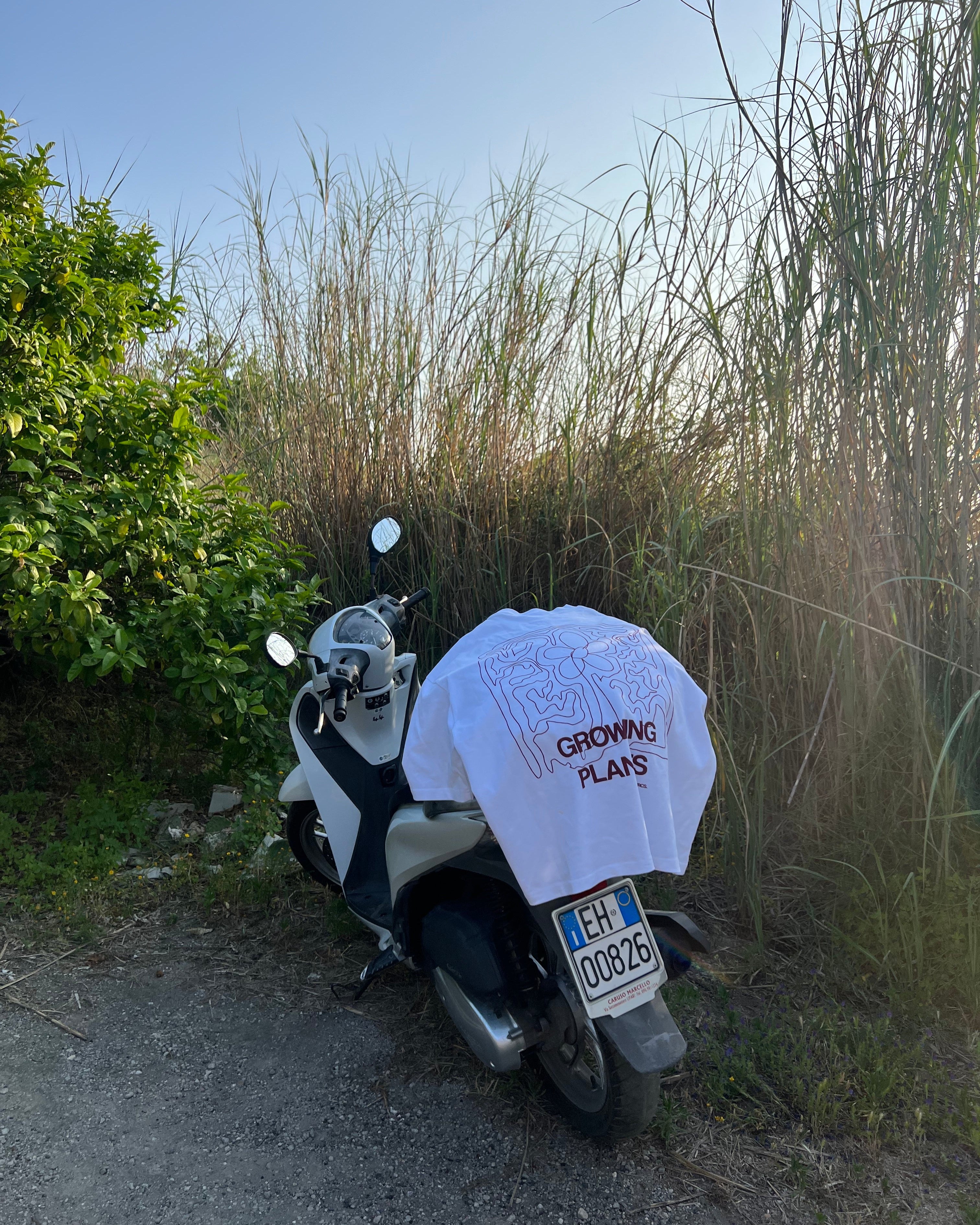 TEE LA PLANTE